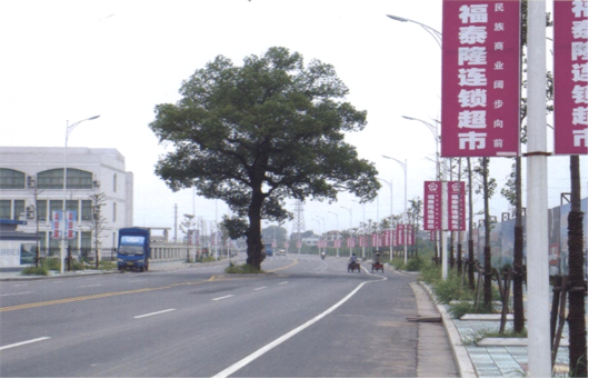 荣昌路东延、学士路北延道路工程