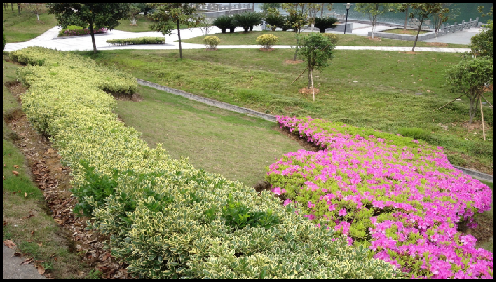 建德市江滨公园清洁城市示范点建设工程