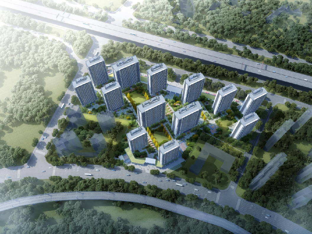 临平新城星枉路保障性住房监理