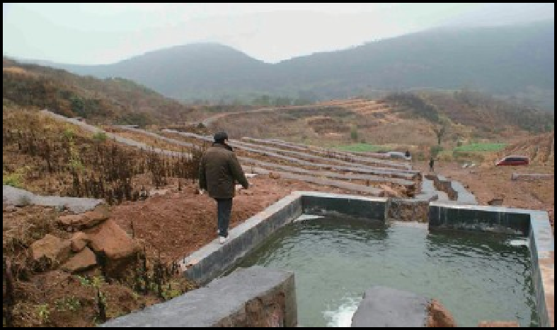 建德市2012年寿昌山峰山区小流域农业生态工程