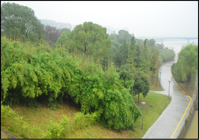 衢州市双水公园工程