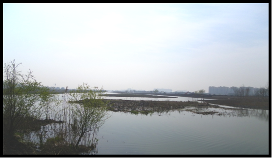 安徽芜湖市大阳焊湿地公园