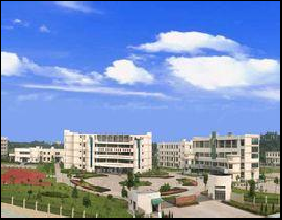 龙游华茂外国语学校