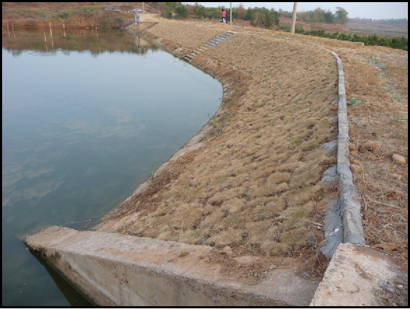 龙游县2011年度中央财政小型农田水利重点县建设工程施工3标