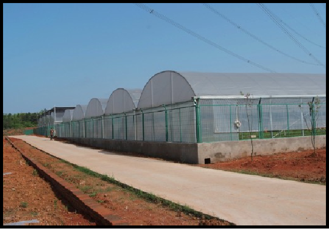 义乌市佛堂镇芦塘下村土地整理暨标准农田建设项目