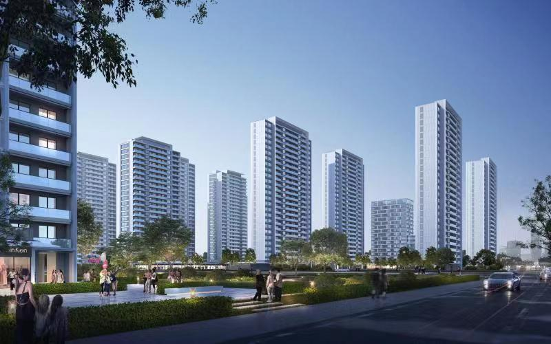 萧政储出（2022）11号地块监理