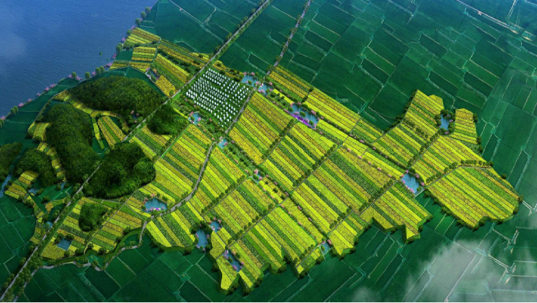 龙游县士元实验区全域土地综合整治与生态修复工程总承包（设计、采购、施工）