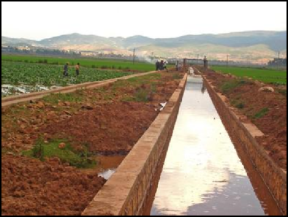 龙游县农田整理配套工程