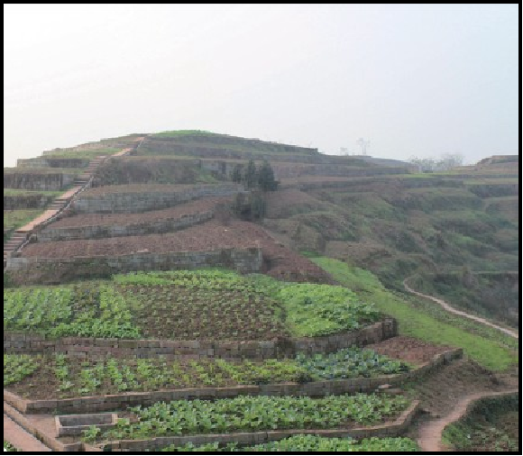 南昌市农村土地 综合整治项目工程二标段