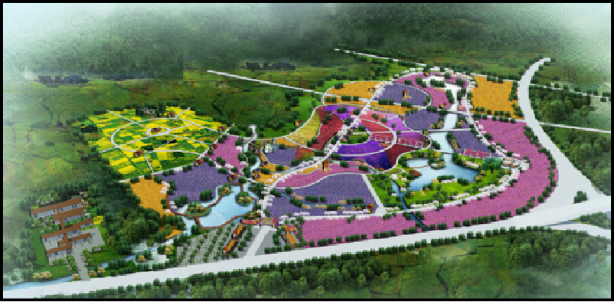 龙游花海项目