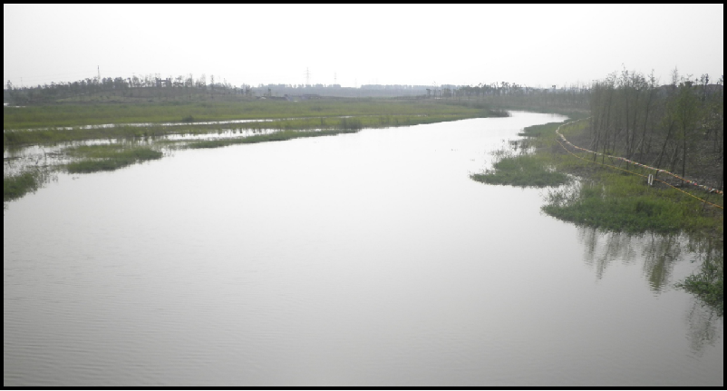 嘉兴市贯泾港水厂水源生态湿地治理工程