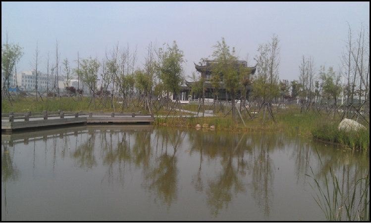 慈溪市慈东工业区淡水泓两侧及秦渡路绿化工程