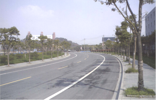 萧山观潮城公路