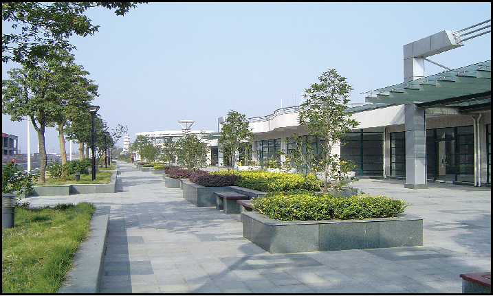 龙游县龙洲公园工程