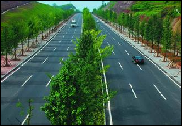 义乌市森林通道工程--环城北路CD标段（8+160~10+340）