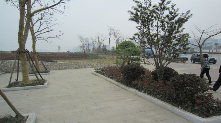 芜湖市级大绿化长江南路景观带