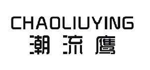 潮流鹰（12699549）