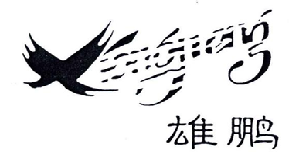 雄鹏（3723672）