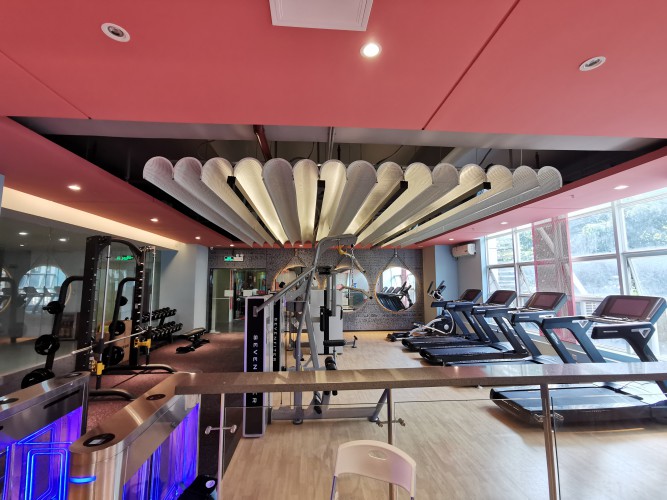 广州自燃人健身_力动体育健身工作室案例