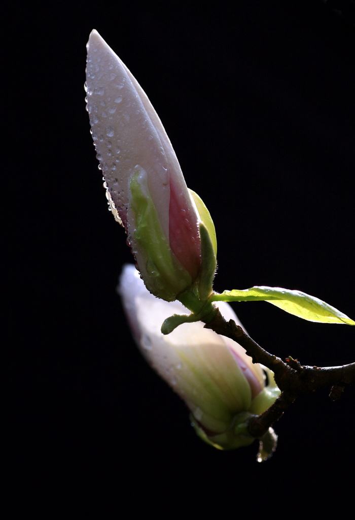 阳川基金产品荣登私募排排网菁英榜