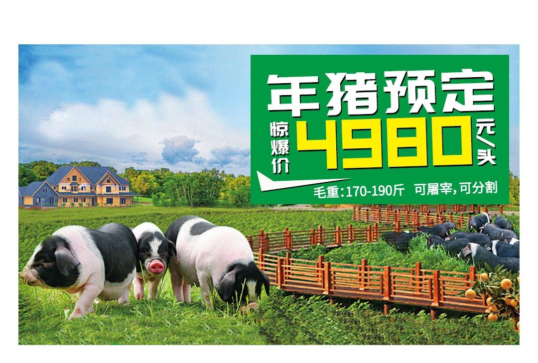 庄园花猪 | 赠予最亲爱的人