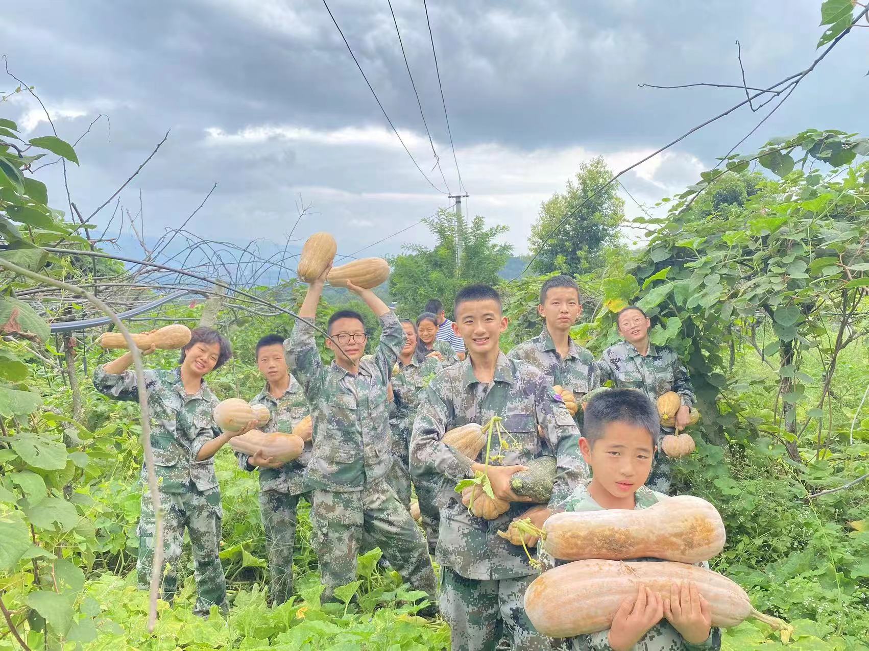 农村生活体验教育课程