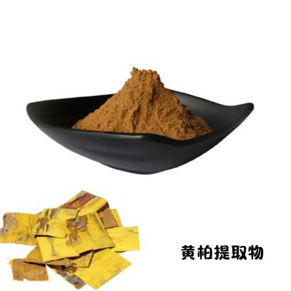 黄柏提取物