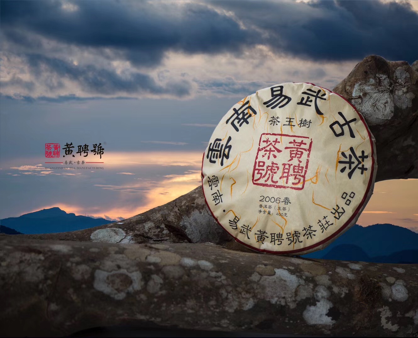 2006茶王树.jpg
