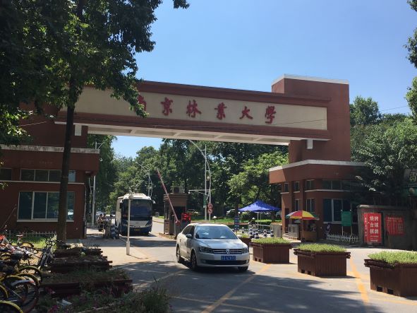 南京林业大学图书馆地下书库安装德业工业除湿机