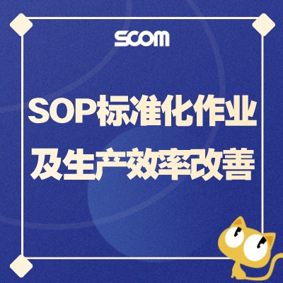 2024-POM14 SOP标准化作业及生产效率改善