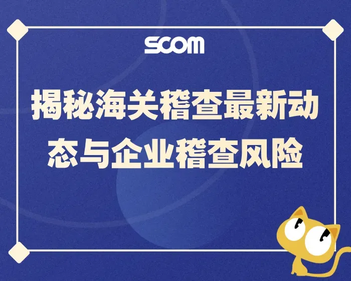 2025 SCM85-揭秘海关稽查最新动态与企业稽查风险