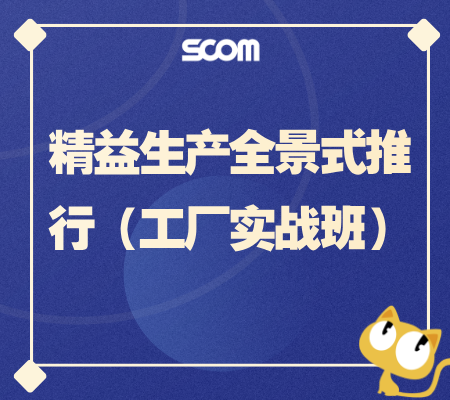 2025 精益生产全景式推行（工厂实战班）