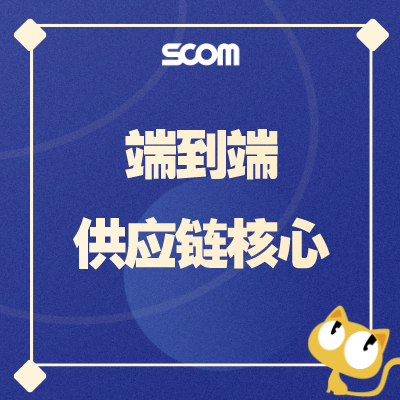 2025 SCM03-端到端供应链核心