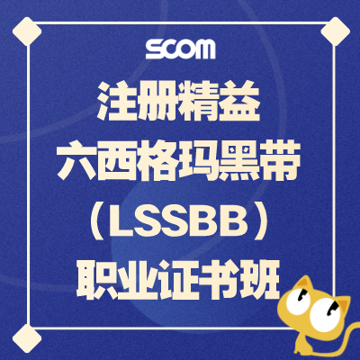 2025 注册精益六西格玛黑带（LSSBB）职业证书班
