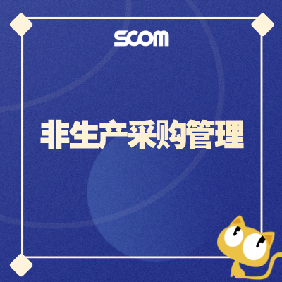 2025 SCM28-非生产采购管理
