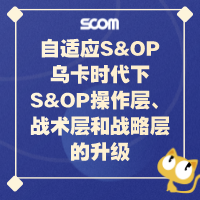 自适应S&OP-乌卡时代下S&OP操作层、战术层和战略层的升级 SCM45