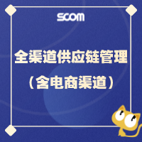 2025 SCM19-全渠道供应链管理（含电商渠道）