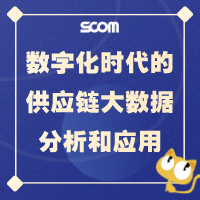 2025 SCM09-数字化时代的供应链大数据分析及应用实践