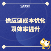 2025 SCM38-供应链成本优化及效率提升