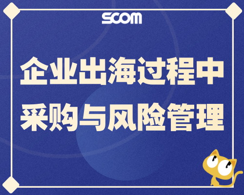 2026-SCM95 企业出海过程中采购与风险管理