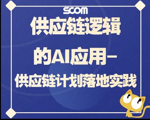 2025 供应链逻辑的AI应用-供应链计划落地实践