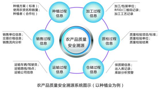 农产品溯源系统开发