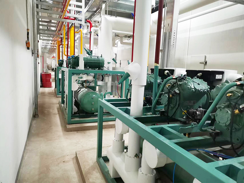 血浆库：生命资源的战略储备与转化医学枢纽