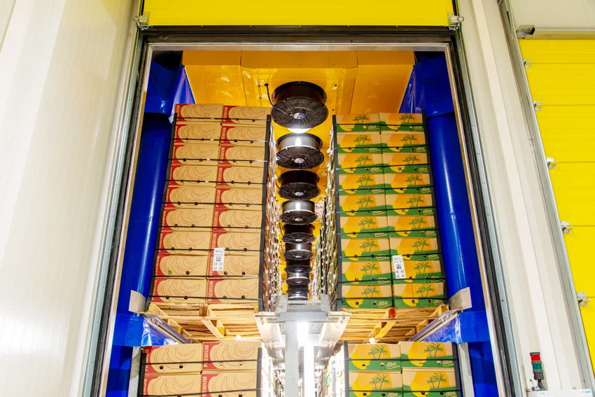 5000㎡香蕉催熟库项目施工纪实：从青涩到金黄的“蜕变之旅