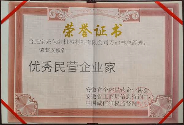 安徽省优秀民营企业家
