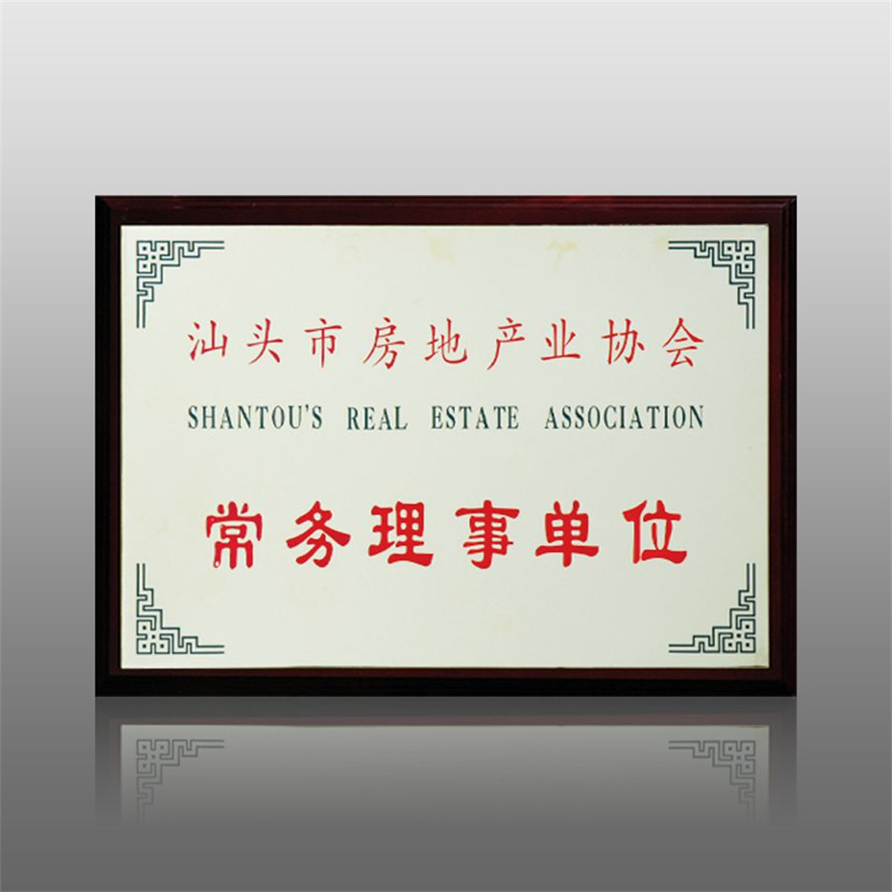 汕頭市房地產(chǎn)產(chǎn)業(yè)協(xié)會(huì)常務(wù)理事單位