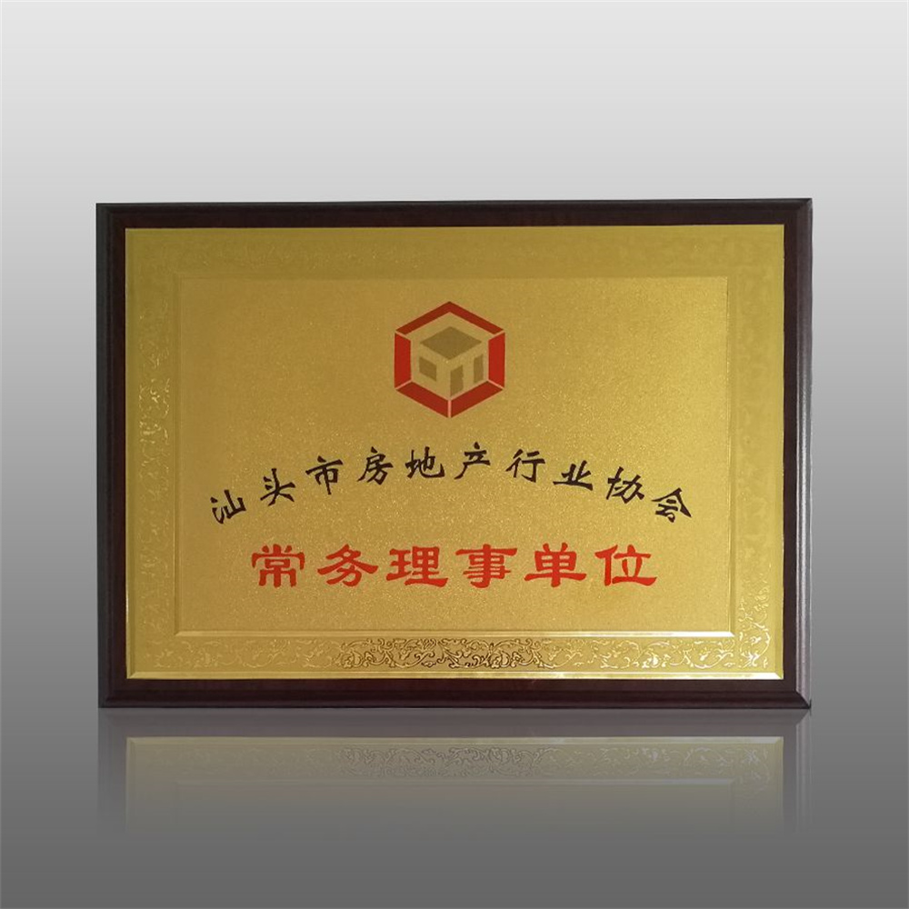 汕頭市房地產(chǎn)行業(yè)協(xié)會(huì)常務(wù)理事單位