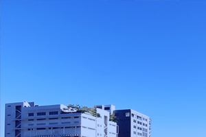 重慶博鵬實(shí)業(yè)有限公司