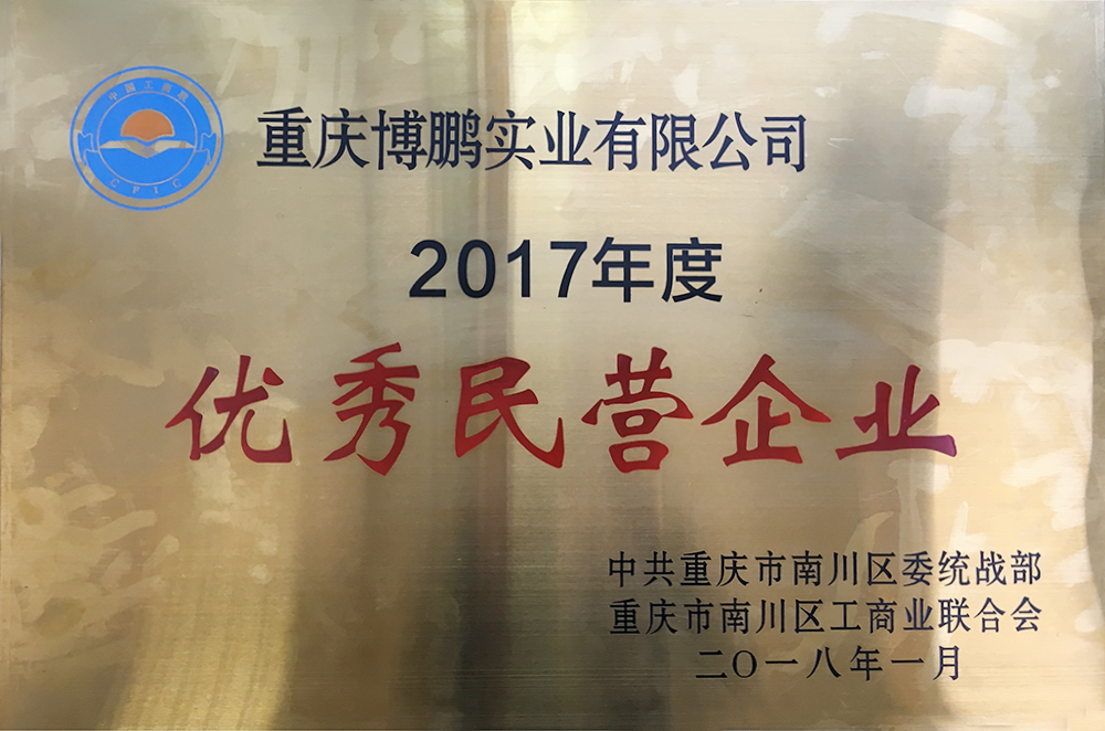 
	2017年優(yōu)秀民營(yíng)企業(yè)

