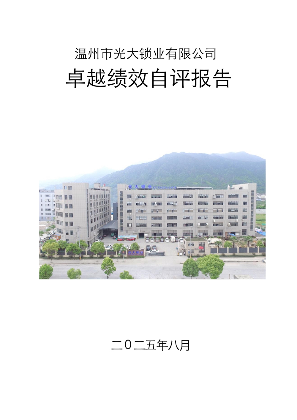 卓越绩效自评报告2025